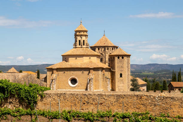 istock Church surrounded by vineyards on a sunny day 1434531337