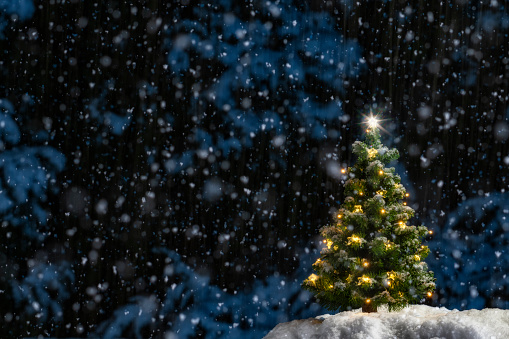 Christmas lights on a house and tree with snow in the yard