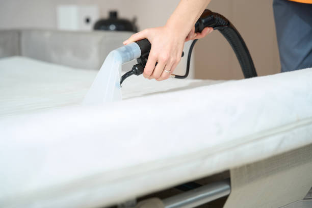 istock Worker performing general cleaning of sleeping mattress 1434533960