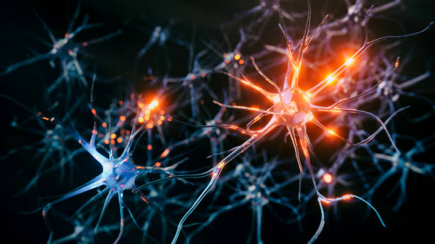 Neuron system disease Neuron cells system disease - 3d rendered image of Neuron cell network on black background. Interconnected neurons cells with electrical pulses. Conceptual medical image.  Glowing synapse.  Healthcare, disease concept. being fired photos stock pictures, royalty-free photos & images