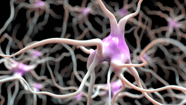 Firing Neurons Firing Neurons - 3d rendered image of Neuron cell network on black background.  Conceptual medical illustration.  Healthcare concept. SEM [TEM] hologram view. Glowing neurons signals. axon terminal stock pictures, royalty-free photos & images