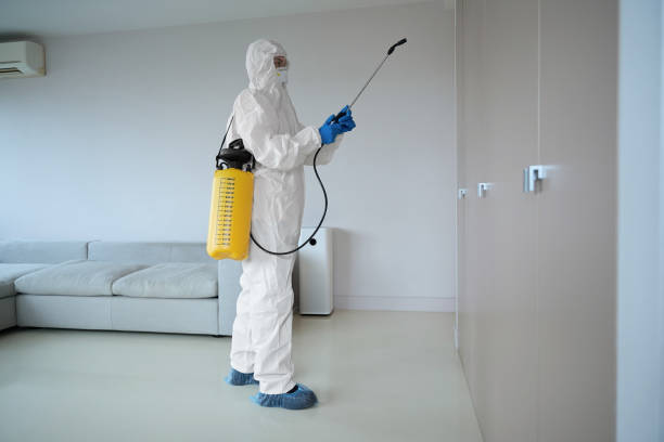istock Worker in white uniform and glasses with sprayer working in apartment 1434534342