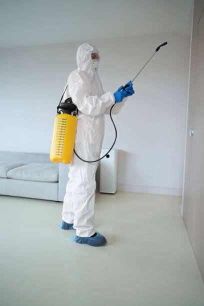 istock Worker in protective clothes and glasses with sprayer 1434534346