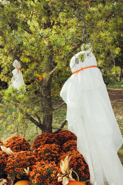 istock Fall flower decoration and Halloween DIY ghosts hanging on tree 1434534856