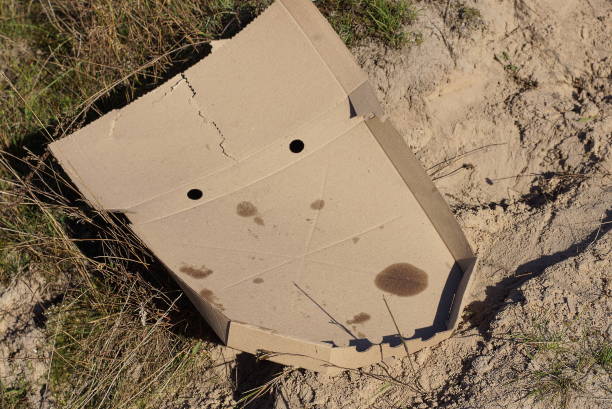 garbage from brown dirty cardboard pizza package lies on the ground and grass on the street