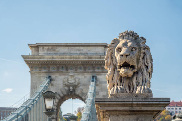 lion sculpture at szechenyi chain bridge - budapest, hungary - chain bridge budapest bridge lion imagens e fotografias de stock