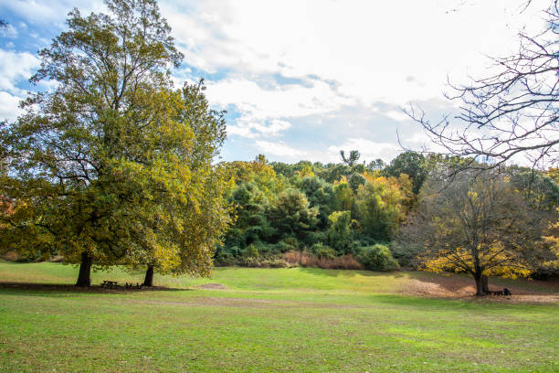 istock picnic tables in the woods 1434541369