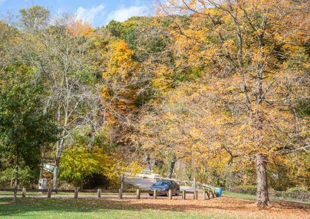 istock Driving in the park 1434541515