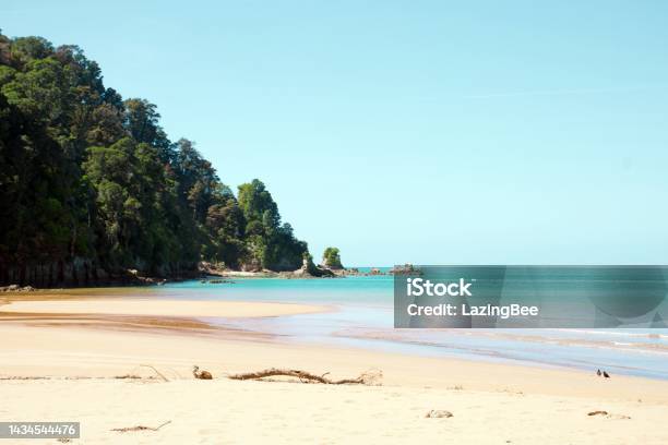 Totaranui Beach Seascape Abel Tasman National Park New Zealand Stock Photo - Download Image Now