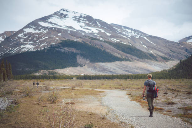 istock Solo Hiker Walking On An Alpine Trail 1434544695