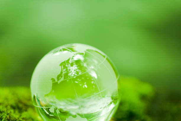 istock Globe On Mossy Rock Near Mountain Stream 1434545102