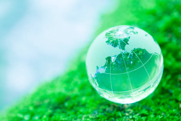 istock Globe On Mossy Rock Near Mountain Stream 1434545119