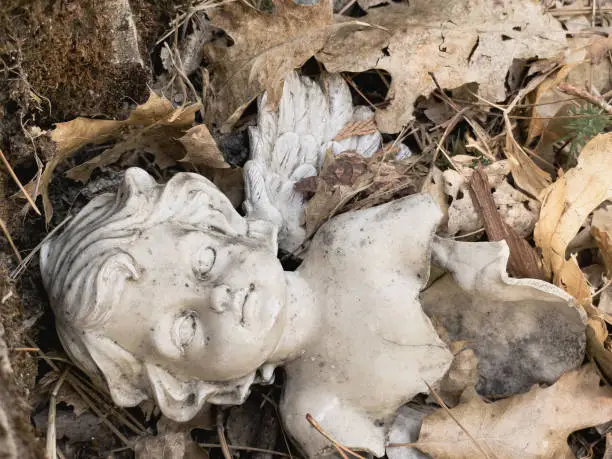 Photo of Fallen, broken, ceramic angel laying on ground in dry leaves and moss