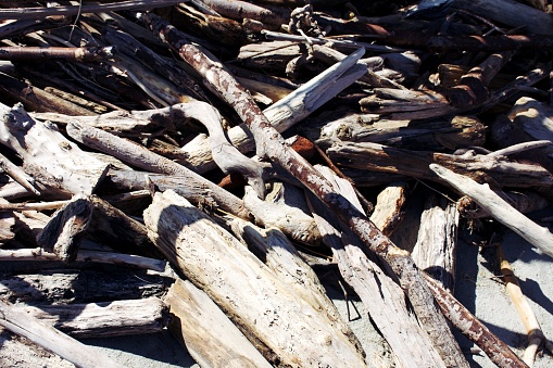 Abstract driftwood background in close-up full frame.