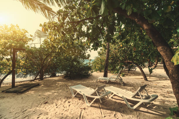 tre poltrone reclinabili sulla spiaggia - luxury hotel palm tree lush foliage asia foto e immagini stock