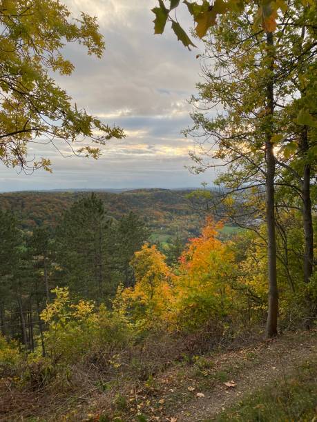 istock View of the colorful autumn forest 1434555735