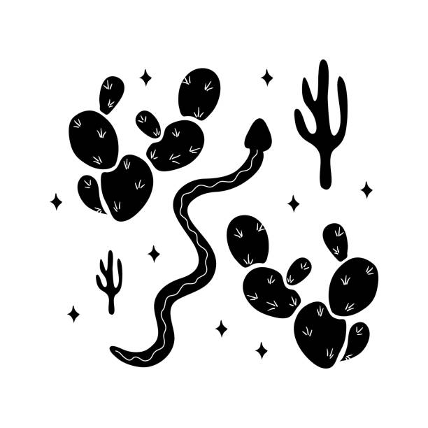 ilustraciones, imágenes clip art, dibujos animados e iconos de stock de serpiente y cactus dibujado a mano silueta vectorial ilustración - mojave rattlesnake