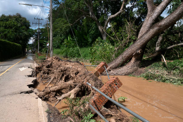 istock Fallen trees uprooted and roads asphalt pavement destroyed after water floods. 1434556739