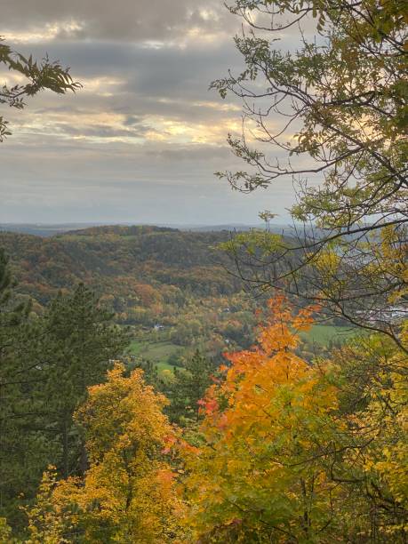 istock View of the colorful autumn forest 1434557575