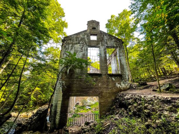istock Scenic view of the Carbide Willson Ruins found in a forest 1434560931