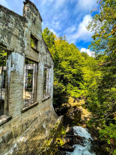 istock Vertical shot of the Carbide Willson Ruins found in a forest 1434560939