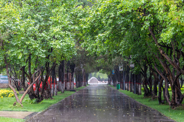 istock The drizzle of autumn 1434563883