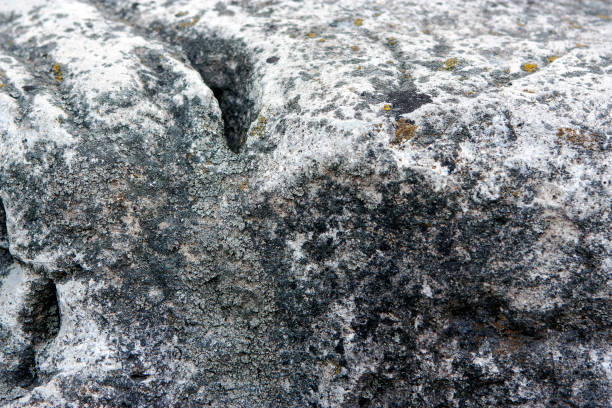 Full-frame grey stone with moss background stock photo