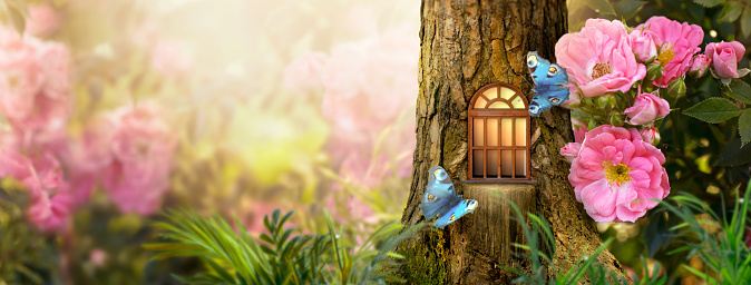 Enchanted fairy tale forest with magical shining window in hollow of fantasy pine tree elf house, blooming fabulous giant pink rose flower garden, flying magic blue peacock eye butterfly, copy space.