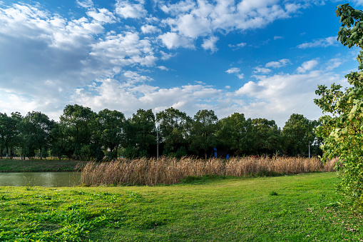 Landscape with trees in Gurb, Barcelona