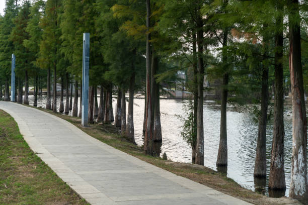 the road of city park in china - 11992 imagens e fotografias de stock