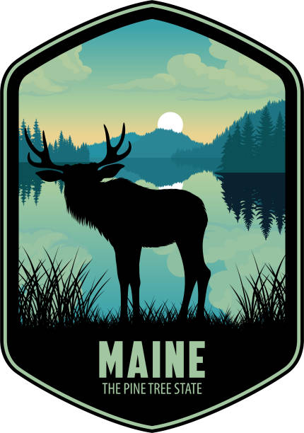 katahdin woods and waters national monument에 무스가있는 메인 벡터 라벨 - state emblem stock illustrations