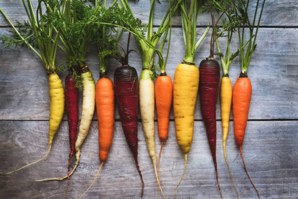 zanahorias de colores en una mesa de madera, zanahorias arco iris en fila, tendidas planas en lo alto - wood carrot vegetable farm fotografías e imágenes de stock