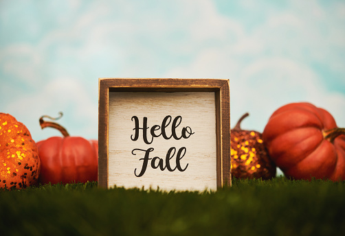Hello Fall background with sign and pumpkins in grass with blue sky