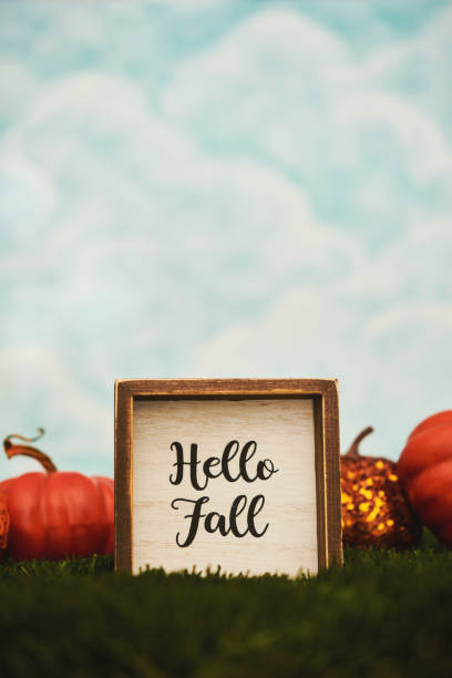 istock Hello Fall background with sign and pumpkins in grass with blue sky 1434582692