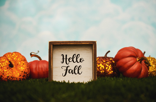 Hello Fall background with sign and pumpkins in grass with blue sky