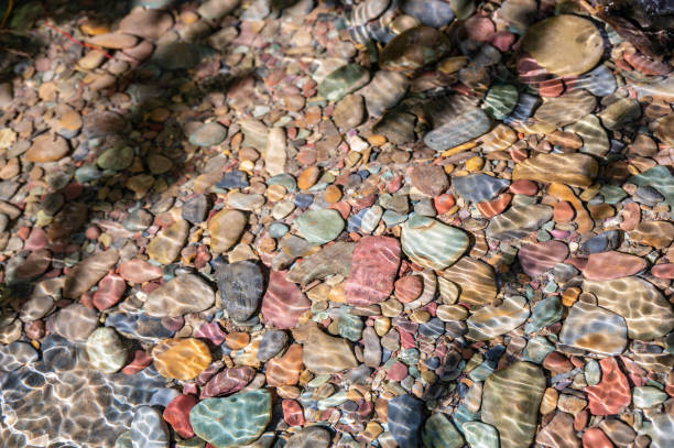 rocce arcobaleno multicolori nel torrente avalanche che porta verso il lago mcdonald al glacier national park, montana, usa - us glacier national park mcdonald lake mcdonald creek montana foto e immagini stock