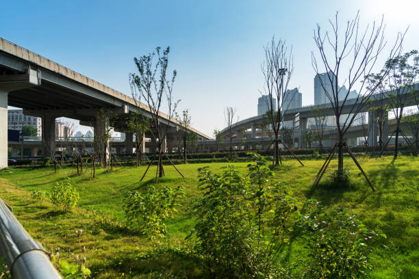 concrete structure and asphalt road space under the overpass in the city - 12042 imagens e fotografias de stock