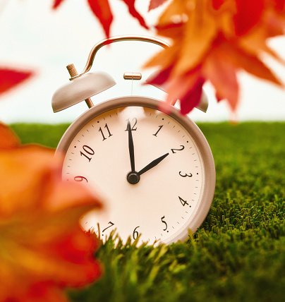 Set your clocks back in spring with this whimsical image of a clock surrounded by spring flowers set to 2 o clock! Extreme shallow depth of field with selective focus on clock.