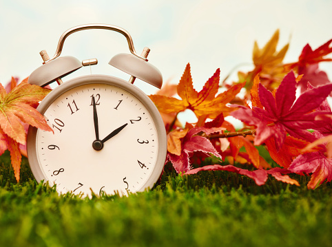 Gray clock in grass with maple leaves. Daylight savings time. Clocks fall back