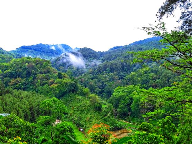 istock The view of mountain 1434594464