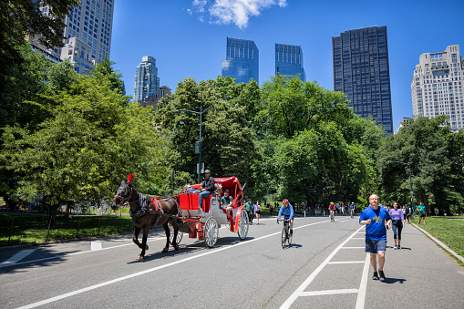 Locals and visitors in horse carriage share the road in Central Park