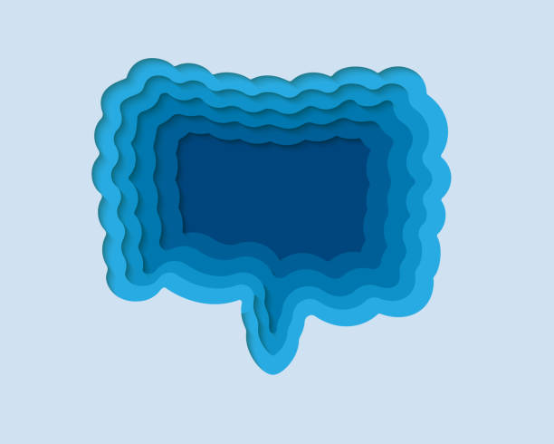 Intestine 3d symbol in paper cut style. Small and large intestine, digestive tract design. Organ anatomy cut out of paper banner. Intestine 3d symbol in paper cut style. Small and large intestine, digestive tract design. Organ anatomy craft illustration. Cut out of paper banner. origami hand stock illustrations