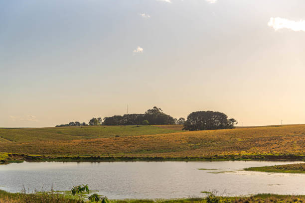istock rural landscape pampa biome 1434606205