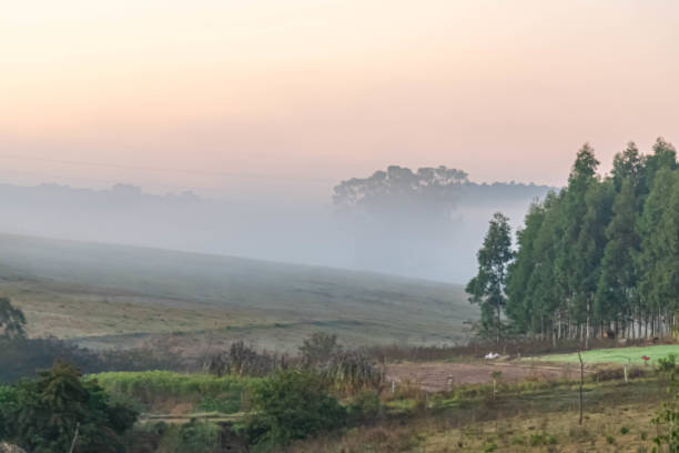 istock winter dawn with fog formation 1434606487