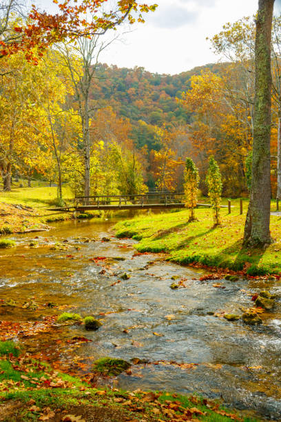 istock Stream passing under a footbridge with a mountain in the background 1434609238