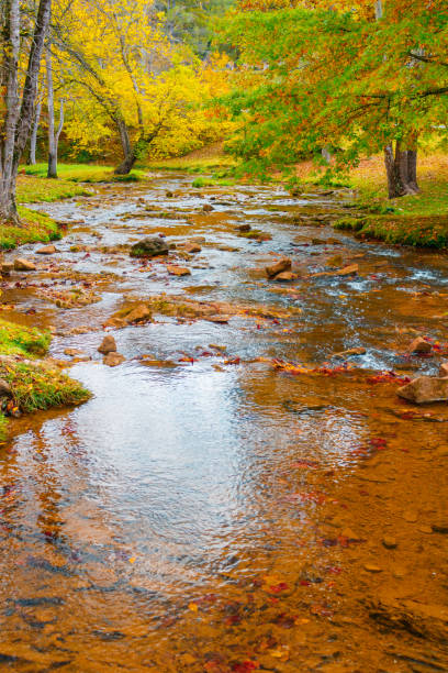 istock River with scattered rocks with Autumn trees in the background 1434609240