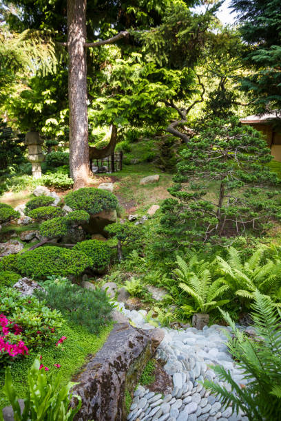 istock Japanese garden in summer 1434613457