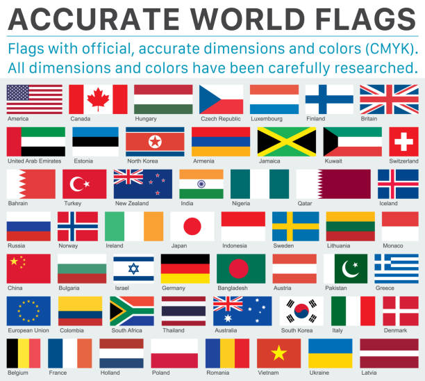 공식 cmyk 색상 및 공식 사양의 정확한 세계 국기 - ireland south africa stock illustrations