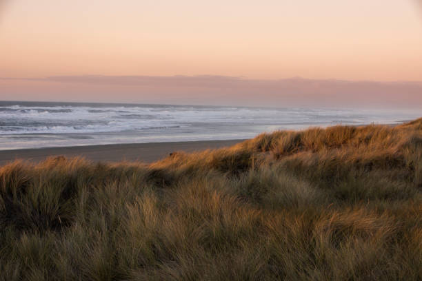 800+ Fotos, Bilder und lizenzfreie Bilder zu Eureka Fotos iStock