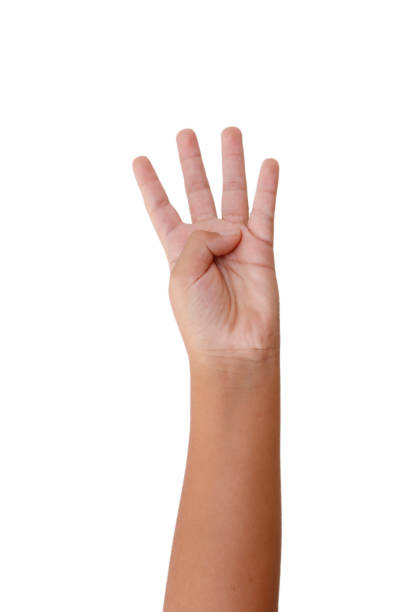 istock Child hand showing four fingers on a white isolated background 1434620816